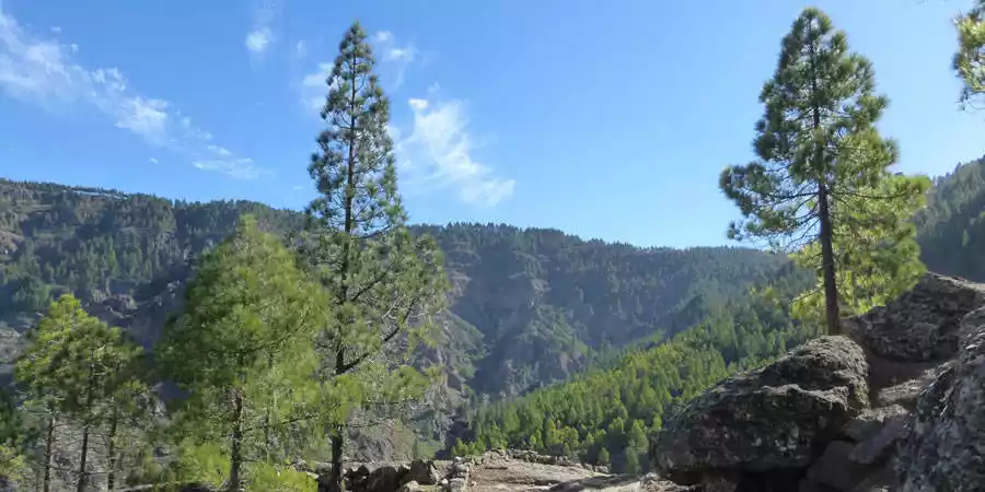 Actividades en la Naturaleza en Canarias