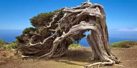 Qué ver en El Hierro