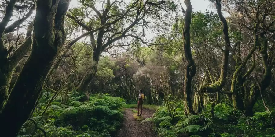 Actividades en la naturaleza en El Hierro