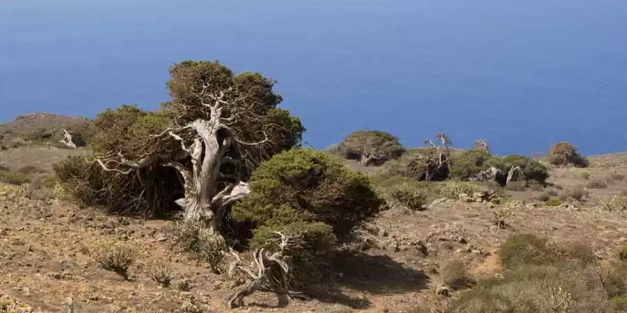 Parque Rural de Frontera