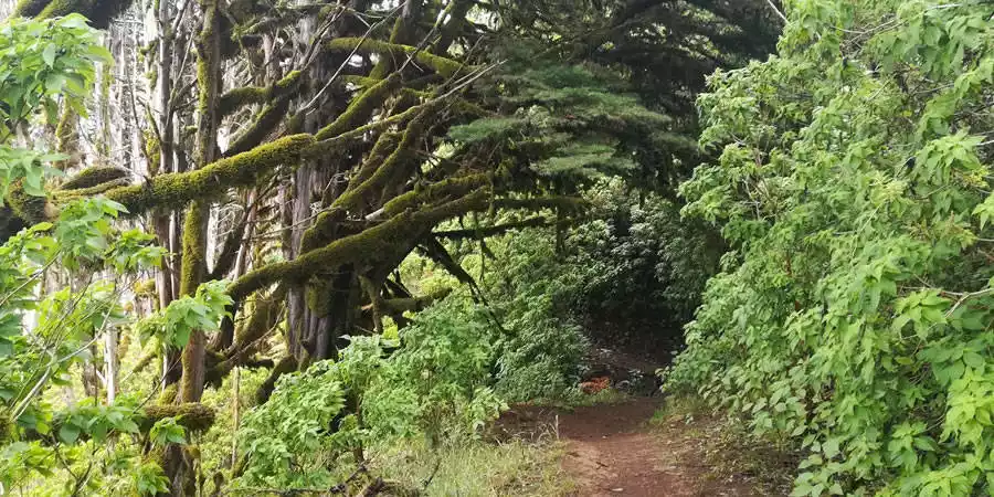 Paisaje Protegido de Ventejís