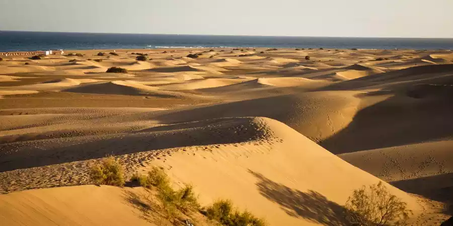 Reserva Natural Especial de las Dunas de Maspalomas