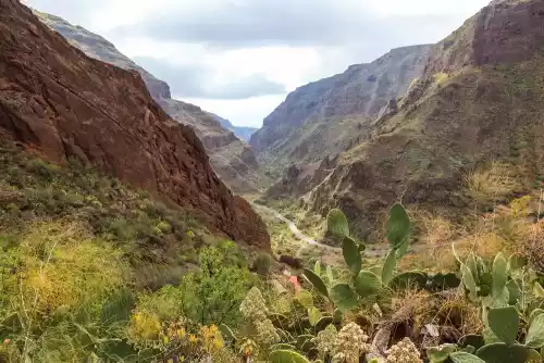 Ruta de los Barrancos de Guayadeque