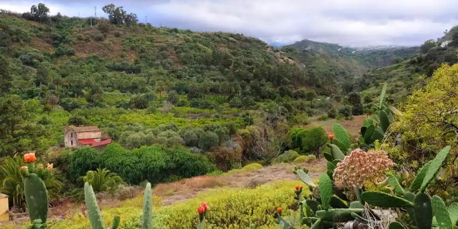Paisaje protegido de Pino Santo