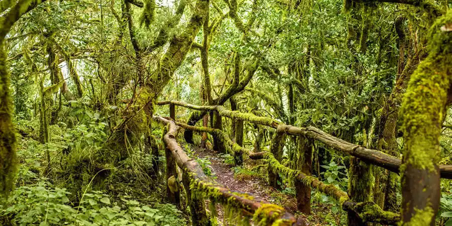 Información general de La Gomera