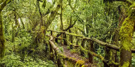 Información general de La Gomera