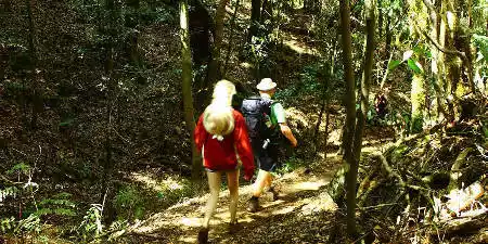 Qué hacer en La Gomera