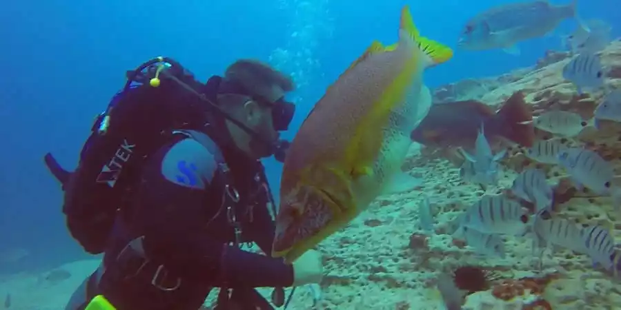 Buceo en La Graciosa