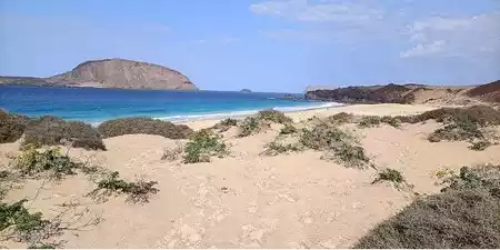 Flora y Fauna de La Graciosa