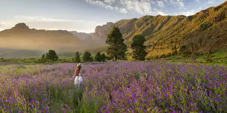 Organice su viaje a La Palma