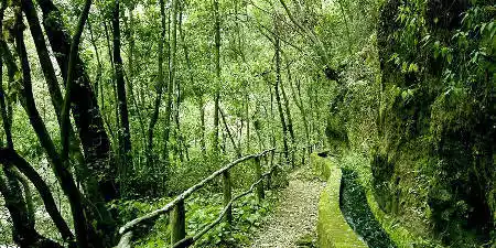 Qué ver en La Palma