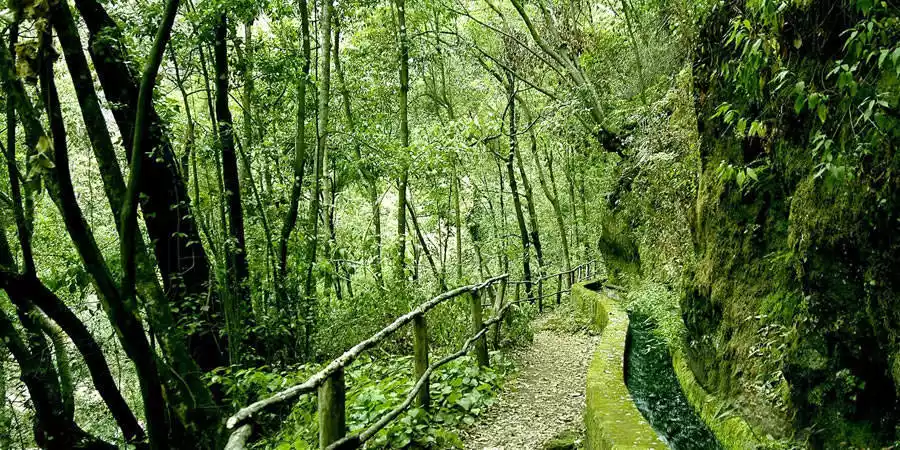 Paisajes naturales de La Palma