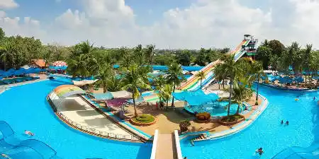 Organice su viaje a Tenerife