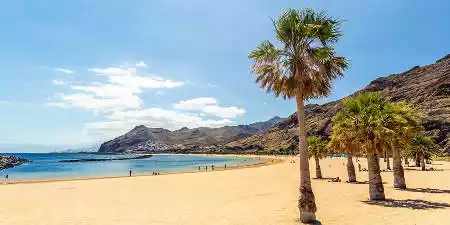 Qué hacer en Tenerife